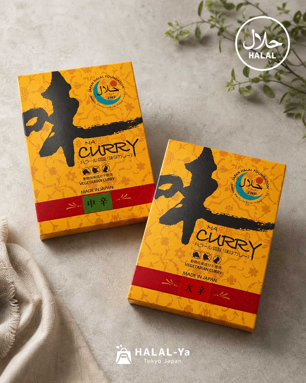 Ajina Curry